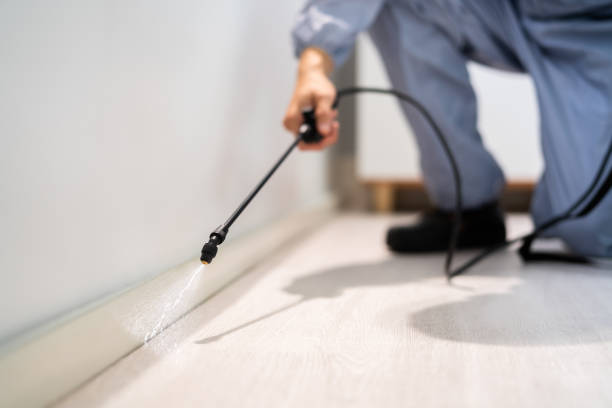 Licensed Fumigation Services service in Routt County County, CO - Nex Pest Control